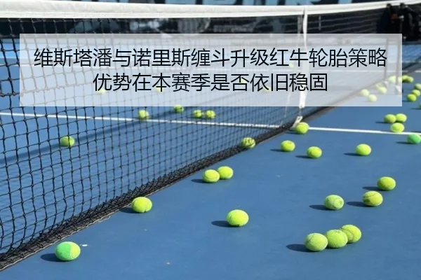 维斯塔潘与诺里斯缠斗升级红牛轮胎策略优势在本赛季是否依旧稳固